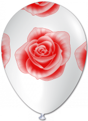 PALLONCINO 